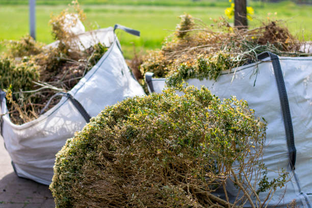 Best Junk Hauling Services  in Maroa, IL
